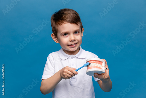 Obraz na płótnie Little boy holding tooth jaw, toothbrush on blue background. Kid training oral hygiene. Child learning brushing, cleaning teeth. Prevention of caries in children. children dentistry. dental care kids w salonie