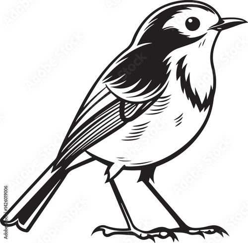 European Robin bird silhouette vector illustration