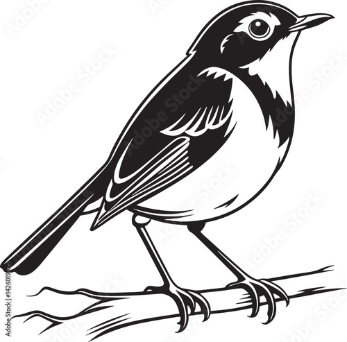 European Robin bird silhouette vector illustration