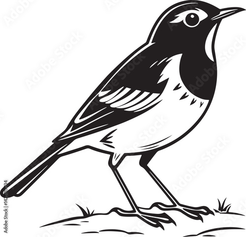 European Robin bird silhouette vector illustration