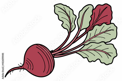 Beetroot fresh red beet with leaves and a half isolated transparent background