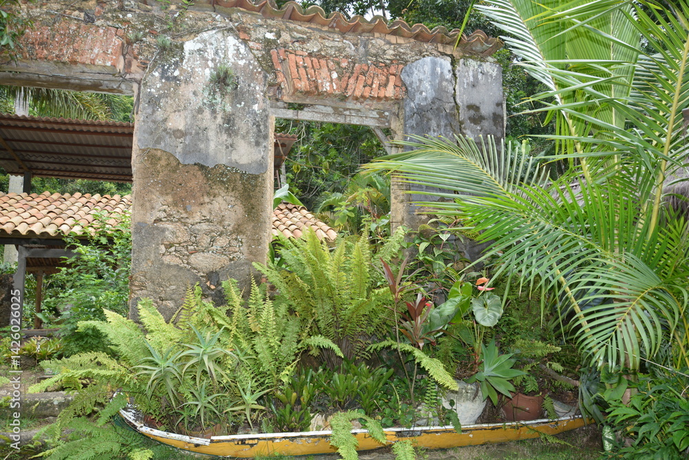 ilha grande