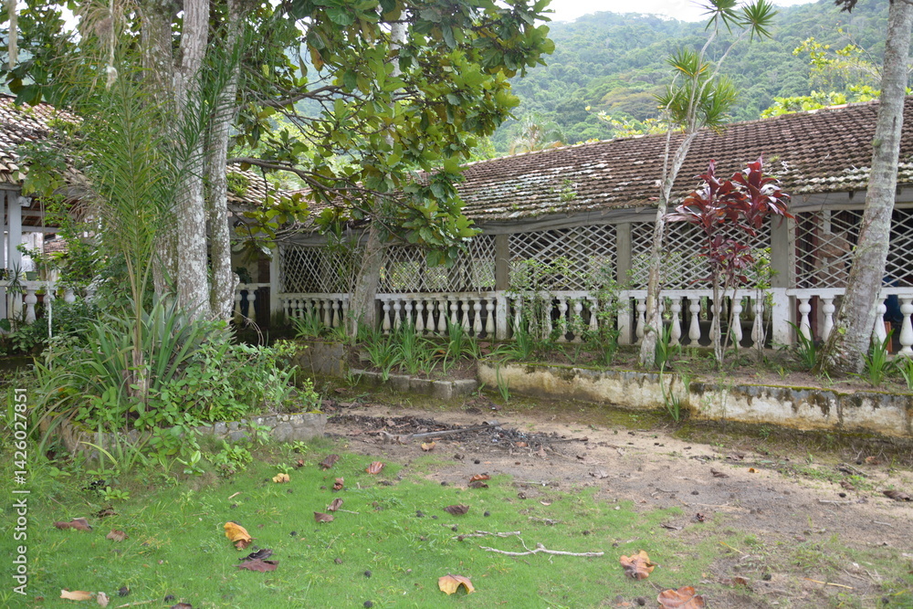 ilha grande