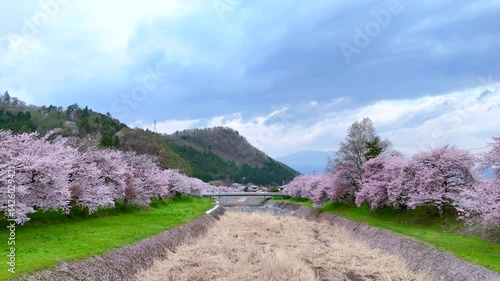 Cherry Blossoms Along a River in Rural Japan – Serene Spring Landscape with Mountains and Sakura Trees