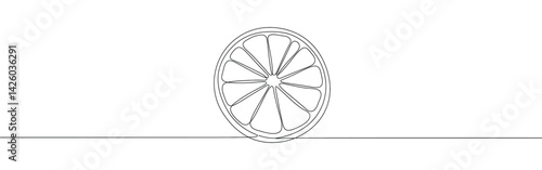 Orange, lemon, lime, grapefruit continuous one line drawing. Citrous symbol. Vector illustration.
