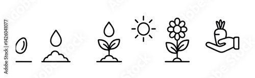 Gardening stages icon set: plant growth journey in linear style