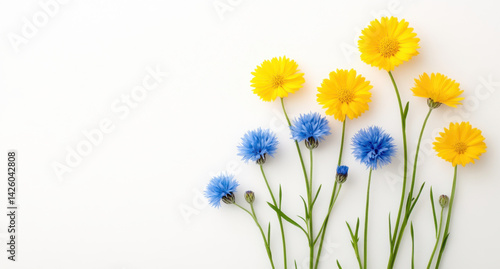 Bright yellow and blue flowers arranged beautifully on light background create cheerful and vibrant composition, perfect for adding touch of nature beauty to any design