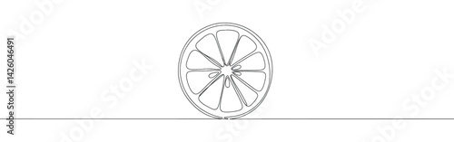 Orange, lemon, lime, grapefruit continuous one line drawing. Citrous symbol. Vector illustration.