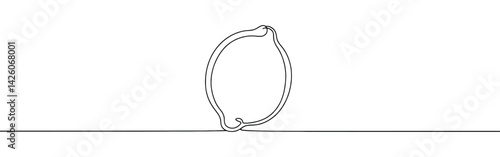 Orange, lemon, lime continuous one line drawing. Citrous symbol. Vector illustration.
