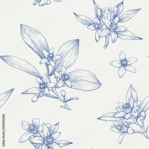 Neroli flowers twigs, vector seamless pattern. Hand drawn Citrus flowers branch. Blue beige Toile botanical illustration for design cosmetic, perfumery, branding. Medicinal plant