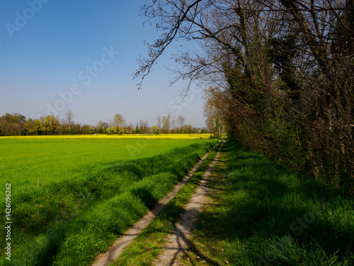 Obraz na płótnie Marne, historic village near Brembate, Bergamo province, Italy w salonie