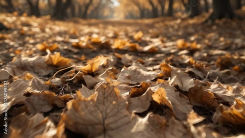 Dying plant life. A rustling blanket of shed leaves. Declining vegetation. Arid leaf texture. Nature scenery.