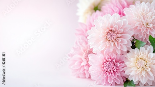Delicate bouquet of pale pink and cream dahlias