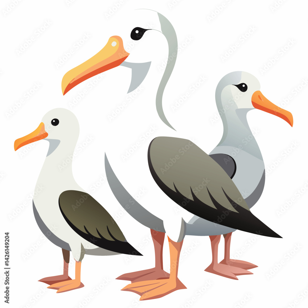 Fototapeta premium Albatross Birds set on white background
