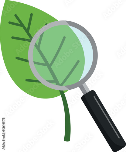 Green leaf with magnifying glass inspection vector illustration natural concept 