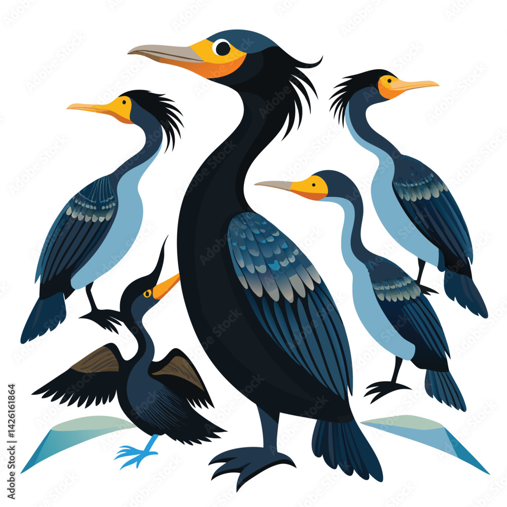 Obraz premium Cormorant Birds set on white background