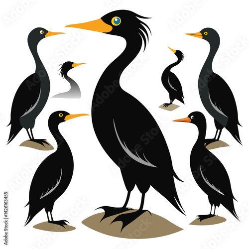 Cormorant Birds set  on white background