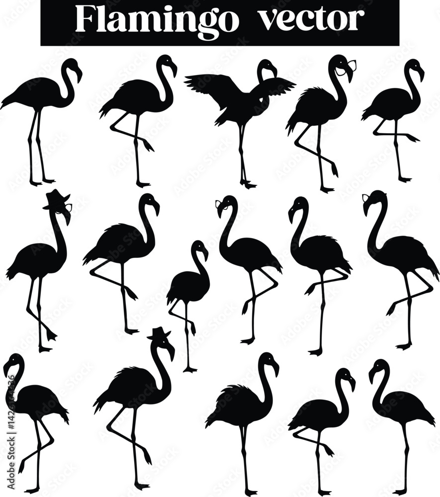 Fototapeta premium Flamingo Elegant Bird Illustrations Silhouettes