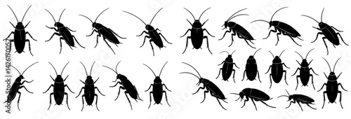 Web icons featuring a set of line style cockroach designs perfect for representing pest control and sanitation themes