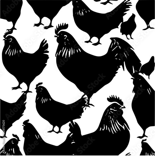 vector set of chicken