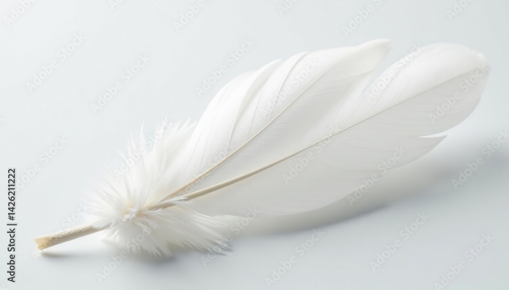 Obraz premium Close-up of pristine white feathers on pure white backdrop, still life, bloom