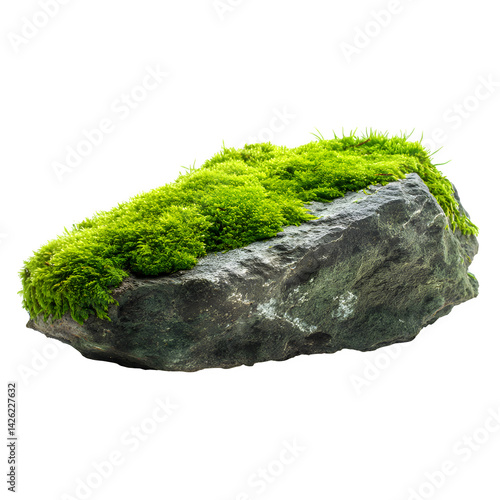Green moss on stone, isolated on white background --v 7.0