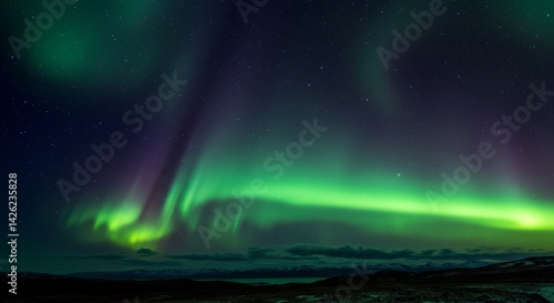 Wallpaper Mural Aurora Borealis Night Sky - Vibrant green and purple aurora borealis lights dance across a dark night sky above a snow-covered landscape Torontodigital.ca