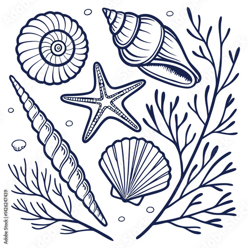Vector illustration Set of Marine Nature Elements Sea Shells And  in Seamless Pattern Design Showcasing Beach Art With Ocean Texture
