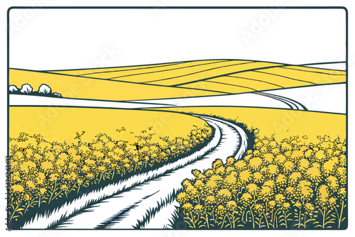 Montana Canola Oil Field with Rack Focus Vector Art