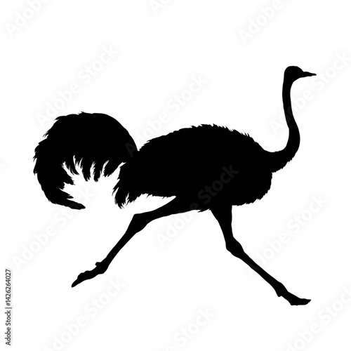 Ostrich silhouette, side view – vector illustration