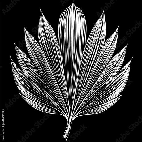 A leafy plant with a white stem and leaves