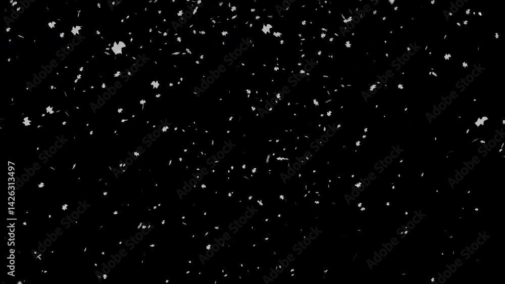 White snowfall overlay against black background. Animated overlay. Elegant and simple winter scene perfect for holiday designs, backgrounds, greeting cards, and seasonal projects.
White snowfall overlay against black background. Animated overlay. Elegant and simple winter scene perfect for holiday designs, backgrounds, greeting cards, and seasonal projects.