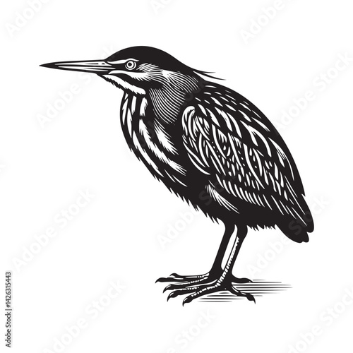 Striking American Bittern Silhouette Vector - Elegant Marsh Bird Design - Minimalist American Bittern Art- American Bittern Illustration.