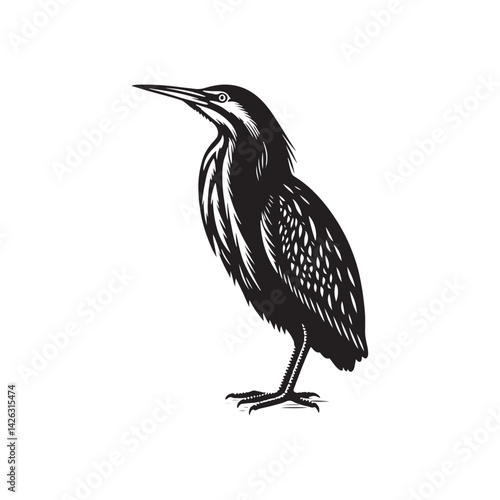 Striking American Bittern Silhouette Vector - Elegant Marsh Bird Design - Minimalist American Bittern Art- American Bittern Illustration.