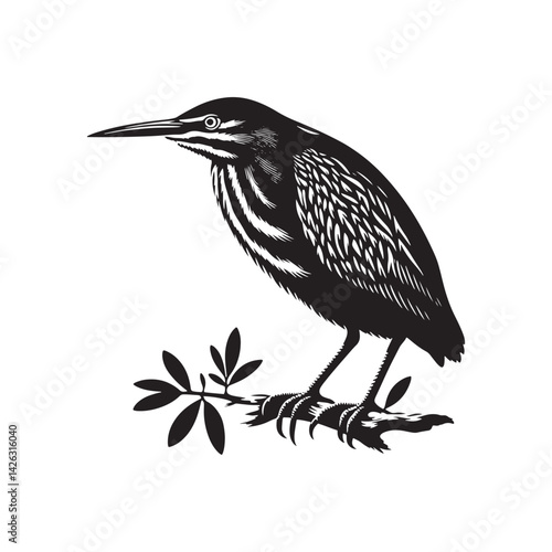 Striking American Bittern Silhouette Vector - Elegant Marsh Bird Design - Minimalist American Bittern Art- American Bittern Illustration.