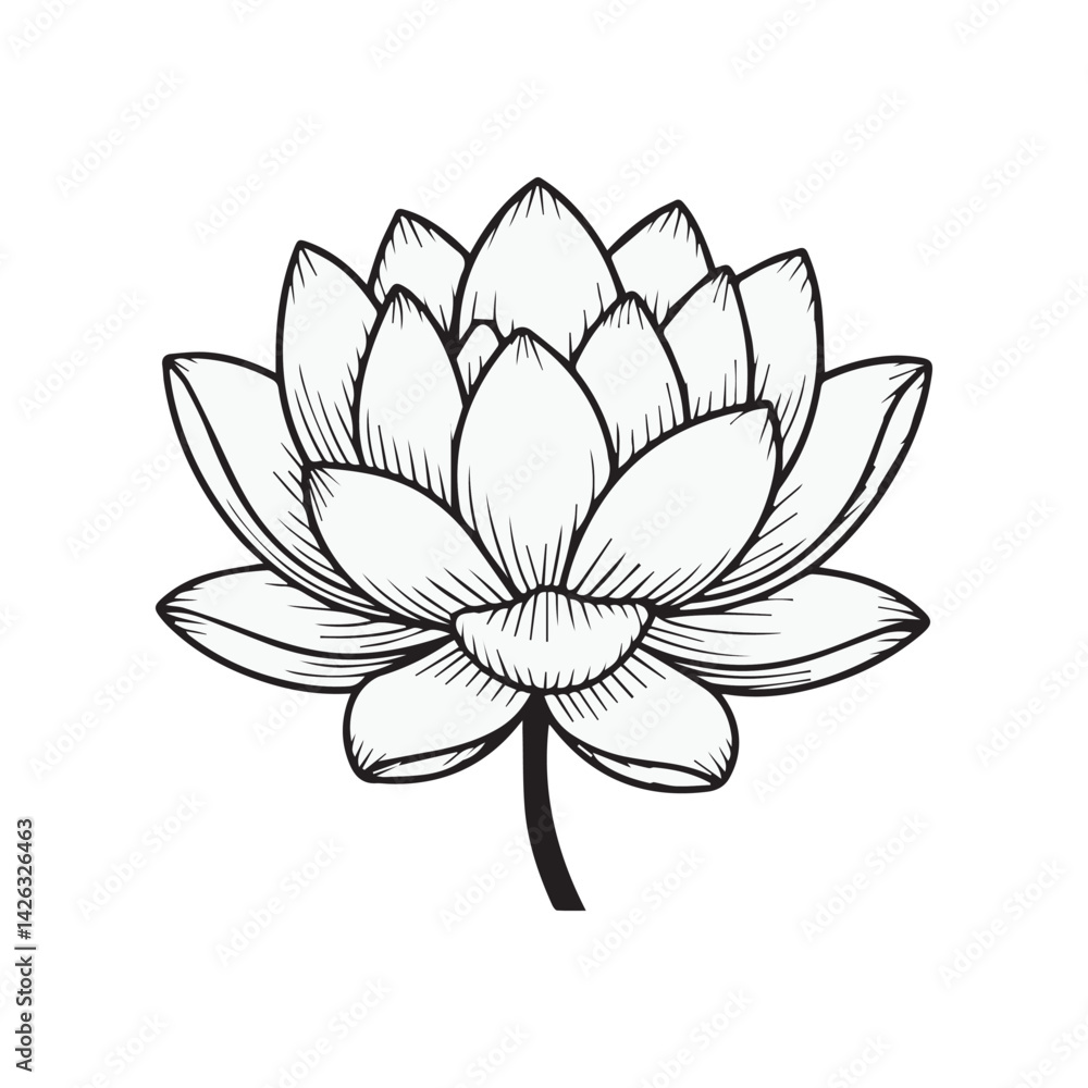 Fototapeta premium Elegant Black and White Line Art Lotus Flower Illustration