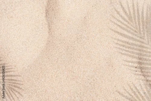 Obraz Sand texture background,Summer beach with tropical coconut palm leaf shadow on brown sand background. Nature background of Minimal sunlight over lay on sand dunes  for Summer holiday, vacation, travel