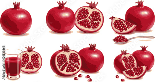 Collection of various pomegranate poses
