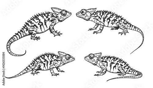 Chameleon lizard sketch engraving vector illustration. engraving illustration of chameleon
