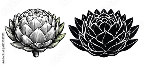 Beautiful and vibrant artichoke with delicate purple hues showing intricate petal formations isolated on transparent background