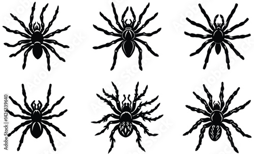 Tarantula in a twig silhouette black vector art set design set