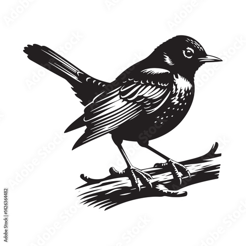 Elegant American Robin Silhouette Vector: Vibrant Songbird Design - Illustration of American Robin bird - Minimalist Bird Art.