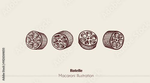 Rotelle Italian Pasta. Vector hand-drawn sketch of food. Vintage style engraving. etching. Line art