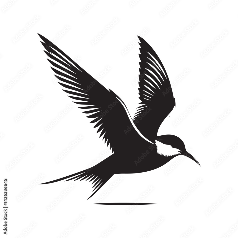 Fototapeta premium Minimalist Arctic tern Silhouette - Vector of Arctic tern - Black and White Arctic tern bird Design - Artic tern Illustration.