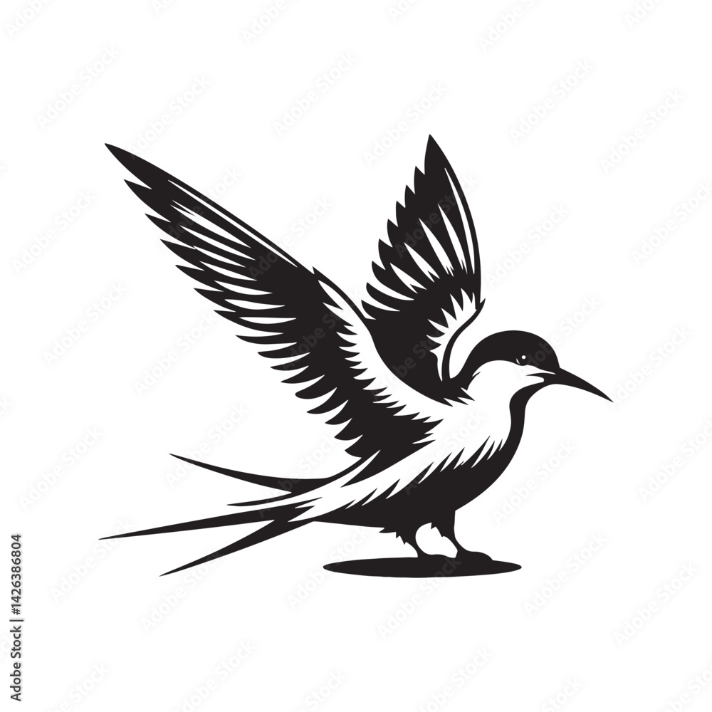 Obraz premium Minimalist Arctic tern Silhouette - Vector of Arctic tern - Black and White Arctic tern bird Design - Artic tern Illustration.
