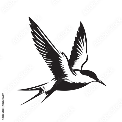 Minimalist Arctic tern Silhouette - Vector of Arctic tern - Black and White Arctic tern bird Design - Artic tern Illustration.