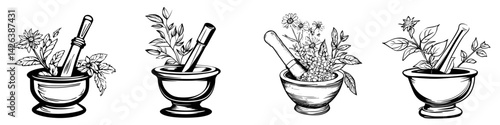 Collection of hand-drawn mortar and pestle icons depicting various herbs and plants for culinary and medicinal use