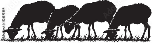 Silhouette of four sheep grazing on grass in a row with white background
