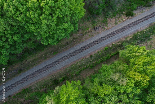 Top down view of railroad tracks surrounded by dense tree growth