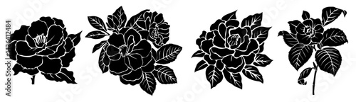 Photography Set of black silhouettes of decorative fresh blossoming camelia flowers with steam and leaves